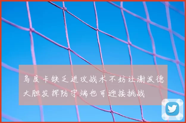 乌度卡缺乏进攻战术不妨让谢泼德大胆发挥防守端也可迎接挑战