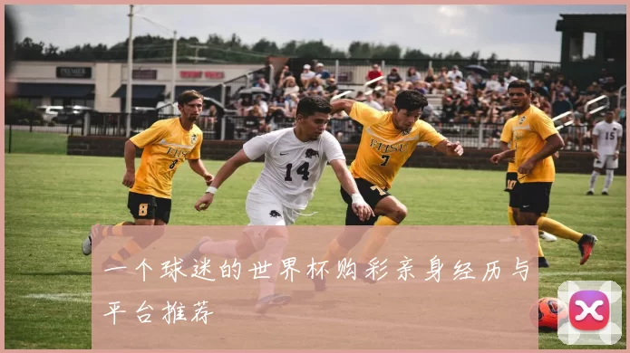 一个球迷的世界杯购彩亲身经历与平台推荐