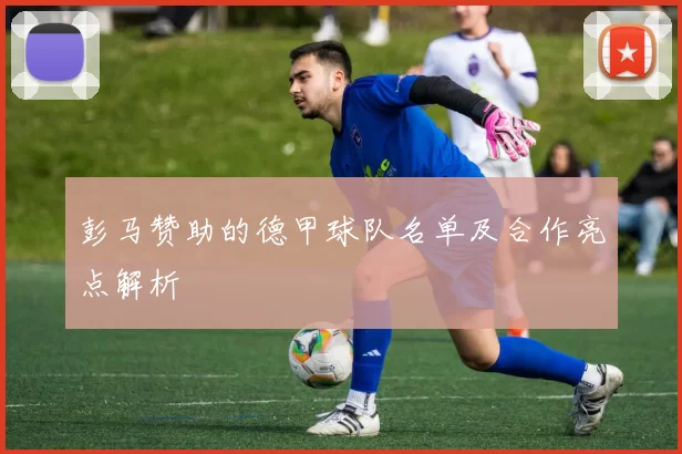 彭马赞助的德甲球队名单及合作亮点解析