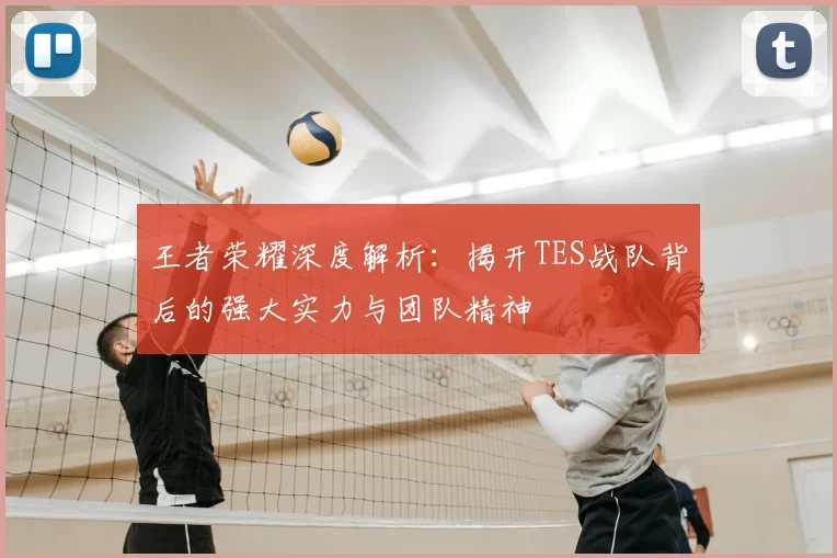 王者荣耀深度解析：揭开TES战队背后的强大实力与团队精神