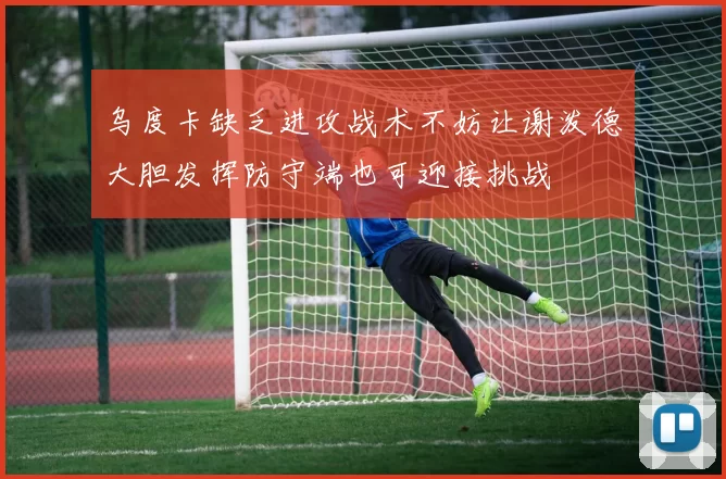 乌度卡缺乏进攻战术不妨让谢泼德大胆发挥防守端也可迎接挑战
