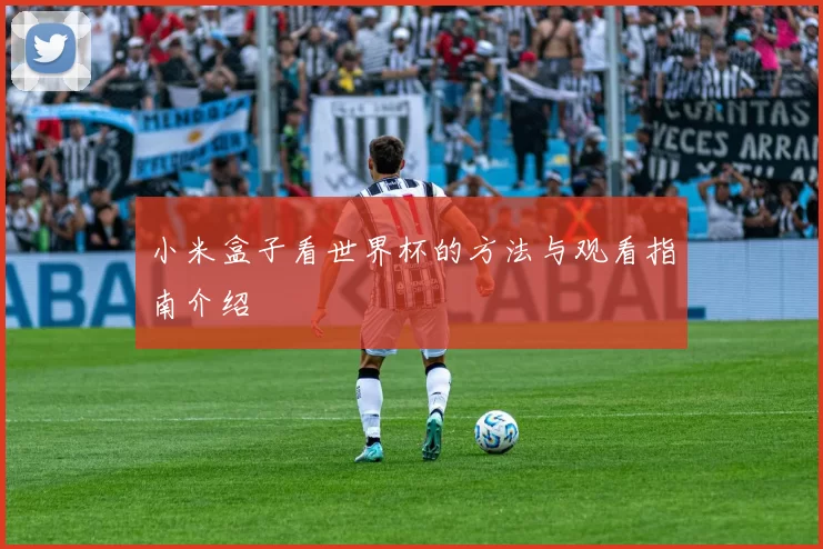 小米盒子看世界杯的方法与观看指南介绍