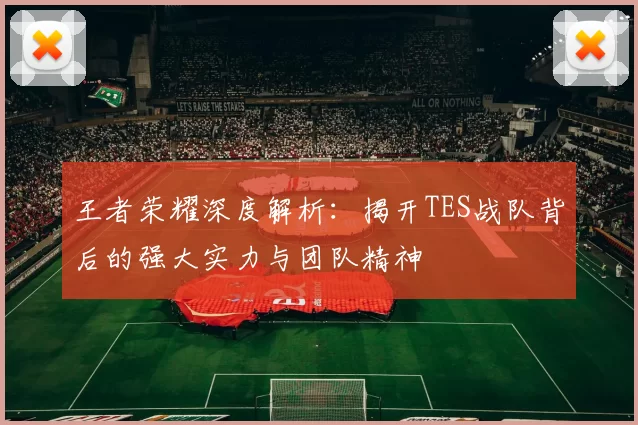 王者荣耀深度解析：揭开TES战队背后的强大实力与团队精神