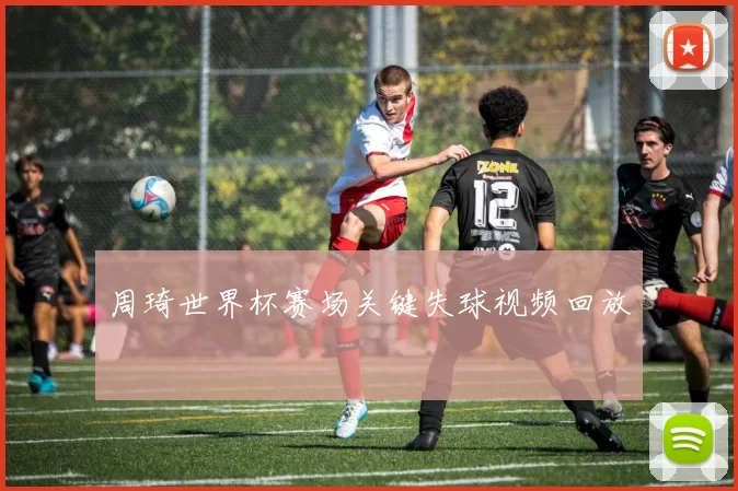 周琦世界杯赛场关键失球视频回放
