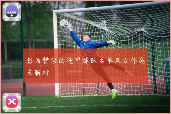 彭马赞助的德甲球队名单及合作亮点解析
