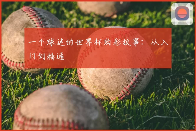 一个球迷的世界杯购彩故事：从入门到精通