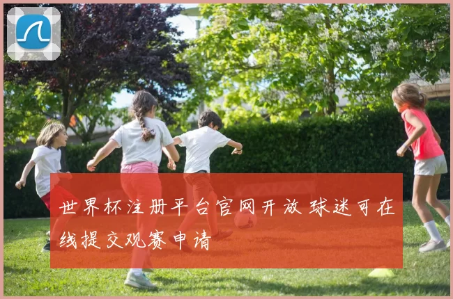 世界杯注册平台官网开放 球迷可在线提交观赛申请