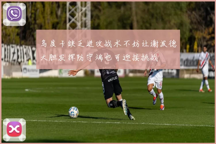 乌度卡缺乏进攻战术不妨让谢泼德大胆发挥防守端也可迎接挑战