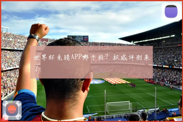 世界杯竞猜APP哪个好?权威评测来了