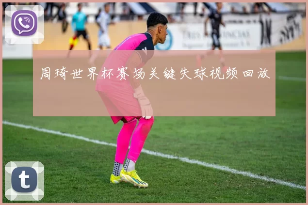 周琦世界杯赛场关键失球视频回放