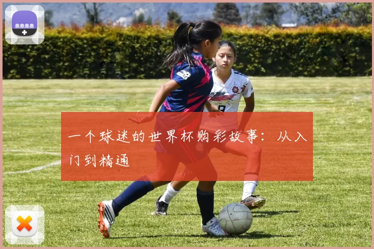 一个球迷的世界杯购彩故事：从入门到精通