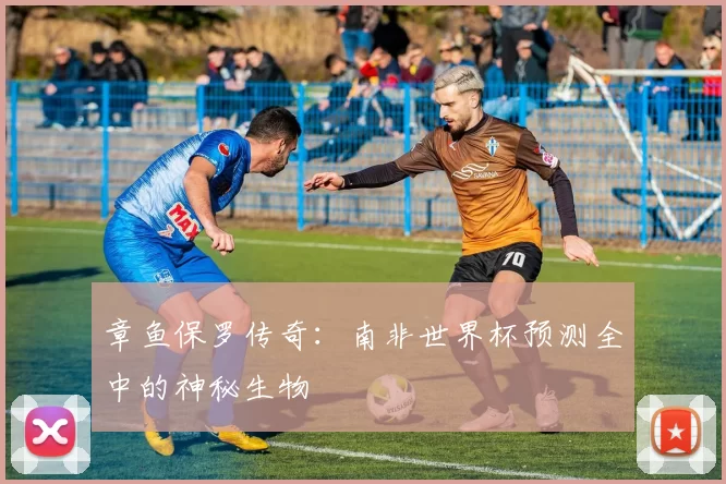章鱼保罗传奇:南非世界杯预测全中的神秘生物