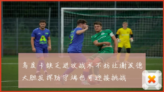 乌度卡缺乏进攻战术不妨让谢泼德大胆发挥防守端也可迎接挑战