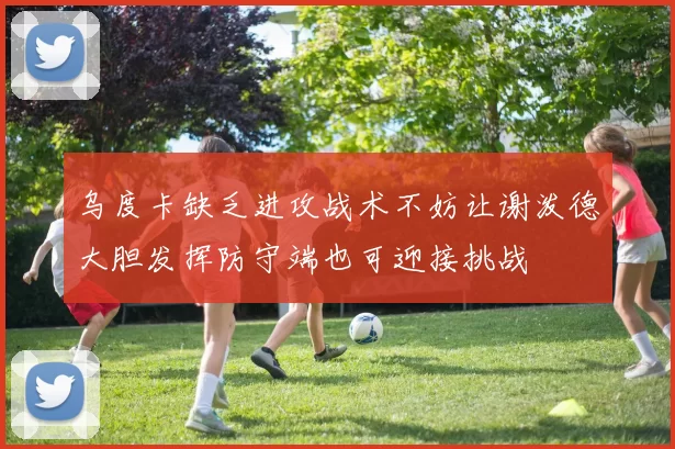 乌度卡缺乏进攻战术不妨让谢泼德大胆发挥防守端也可迎接挑战
